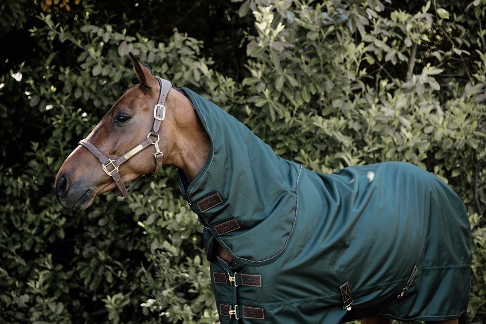 Turnout Rug with Combination Neck 400g Fill 1680 Denier 