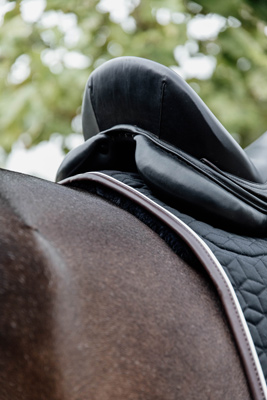 Vorschau: Kentucky Horsewear Schabracke Skin Friendly Sternmuster