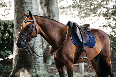 Vorschau: Kentucky Horsewear Schabracke Color Edition Leather