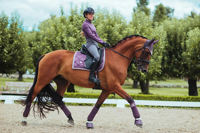 Preview: Equestrian Stockholm Saddle Pad Dressage