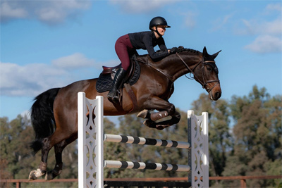 Preview: Equestrian Stockholm Saddle Pad Jumping