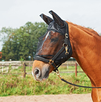 Preview: Busse Fly Mask Guard Plus