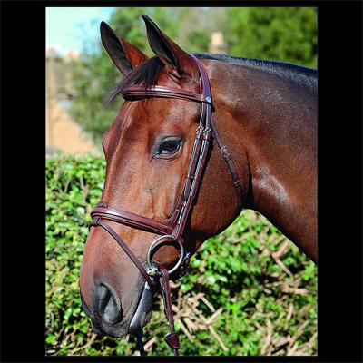 Preview: Dyon Bridle with English combined noseband