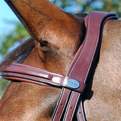 Preview: Dyon Bridle with English combined noseband