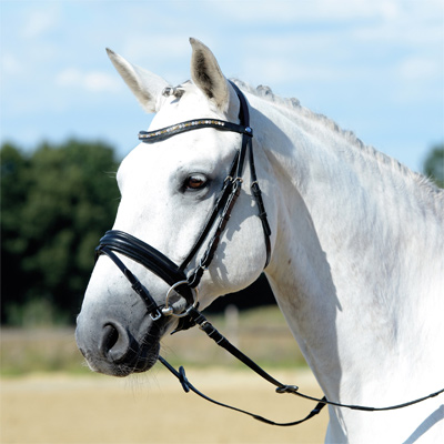 Preview: Busse Bridle Comfort