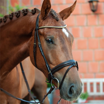 Preview: Schockemöhle Sports Bridle Colombo