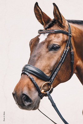 Preview: Schockemöhle Sports Bridle Stanford S