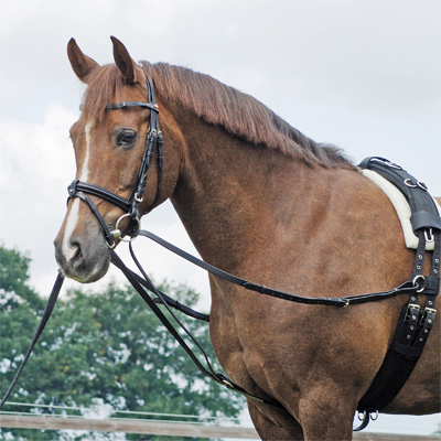 Busse Solibel-Star Best Quality Fixed Leather Side-Reins 3 Sizes 