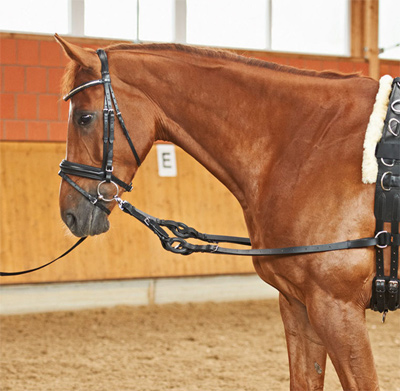 Preview: Busse Side-Reins Solibel