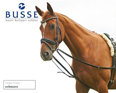 Preview: Busse Side Leather Reins Solibel