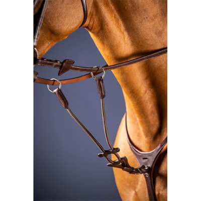 Preview: Dyon Martingale Fork Elastic Round