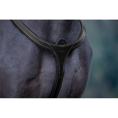 Preview: Dyon Breastplate with Bridge