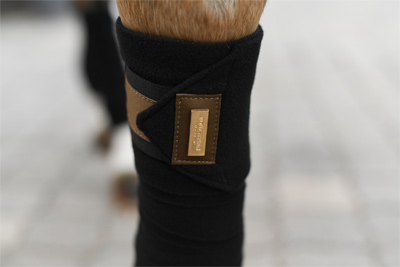 Preview: Equestrian Stockholm Fleecebandages Golden Brass