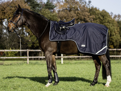 Preview: Busse Exercise Rug Raintrainer II