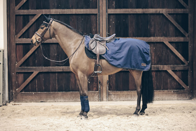 Vorschau: Kentucky Horsewear Ausreitdecke All Weather 160g