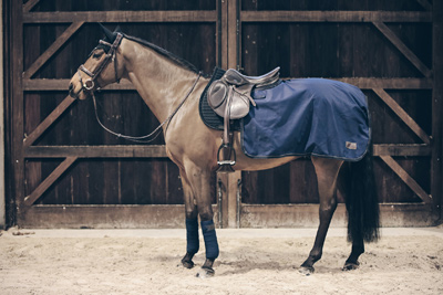 Vorschau: Kentucky Horsewear Ausreitdecke Quadrat All Weather 160g