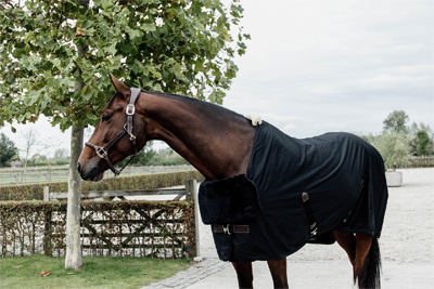Vorschau: Kentucky Horse BIB Schulter Schutz Fell