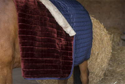 Preview: Equitheme Stable Rug Teddy