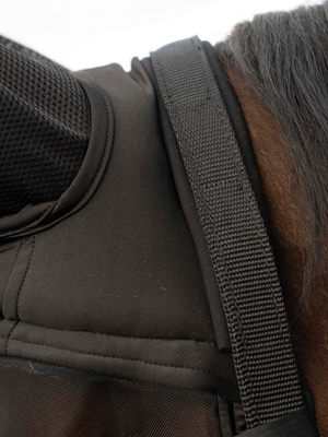 Preview: Busse Fly Halter Fast