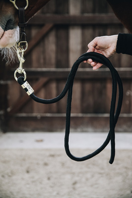 Preview: Kentucky Horseware Lead Rope Basic