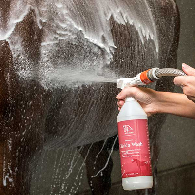 Preview: Blue Hors Shampoo Click n Wash