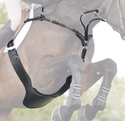 Preview: Kavalkade Saddle Girth Secure