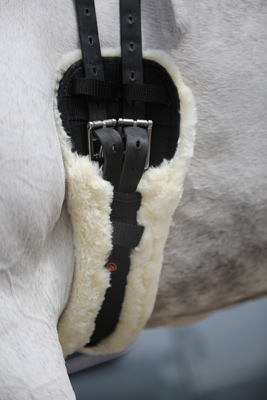 Preview: Kentucky Horsewear Saddle Girth Sheepskin - short