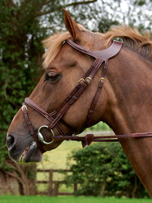 Preview: Dyon Bridle Difference