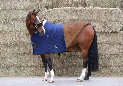 Preview: Kentucky Stable Rug 400g