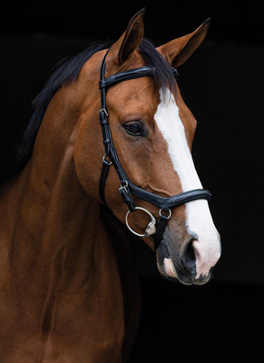 Preview: Horseware Birdle Micklem Deluxe Competition
