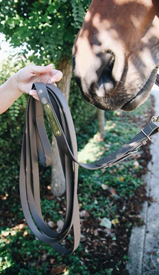 Preview: Kentucky Horsewear Stallion Rope 4m