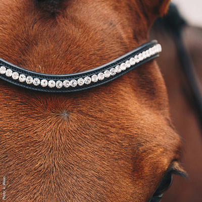 Preview: Schockemoehle Sports Anatomical Bridle Equitus Beta