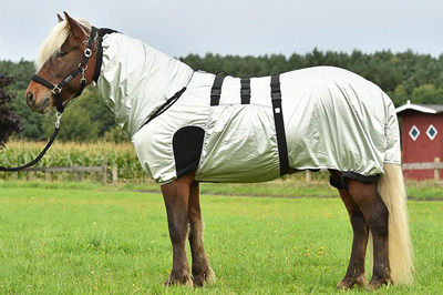 Preview: Busse Fly Rug Strong