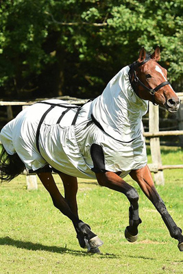 Preview: Busse Fly Rug Strong