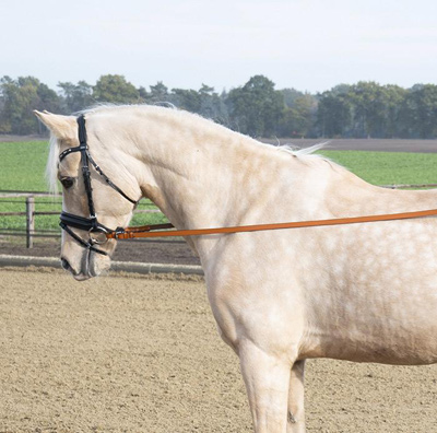 Preview: Busse long reins Biothane