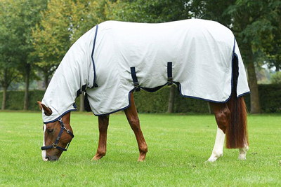 Preview: Busse Paddock Fly Rug Superior II