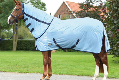 Preview: Busse Paddock Fly Rug Sunshine II