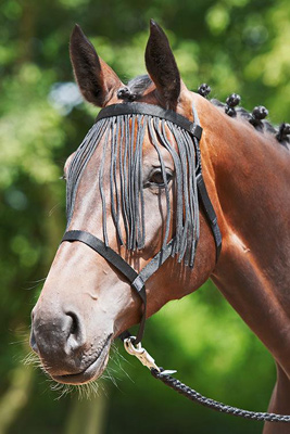 Preview: Busse Headcollar turnout - fringes