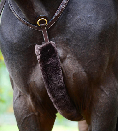 Preview: Kentucky breastplate cover