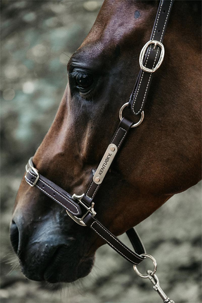 Vorschau: Kentucky Horsewear Leder Halfter Flexibel