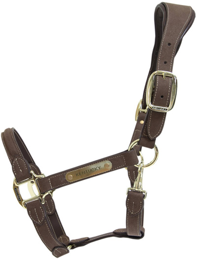 Preview: Kentucky Anatomic Suede Halter