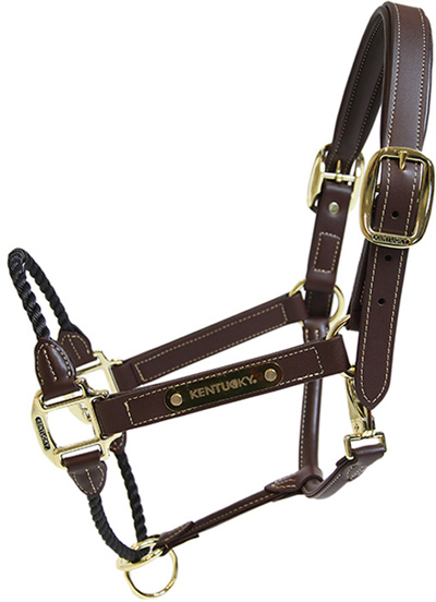 Preview: Kentucky Leather halter Leather Rope