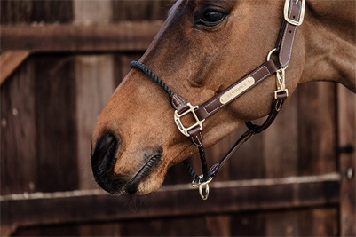 Vorschau: Kentucky Horsewear Leder Halfter Rope