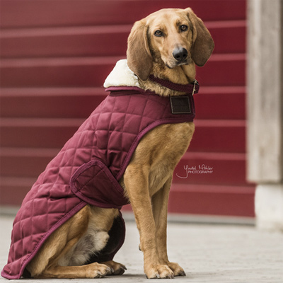 Kentucky Hundedecke Dog coat 160g Bordeaux 
