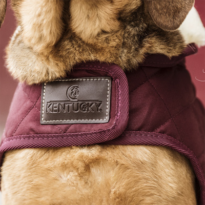 Preview: Kentucky Dogwear Dog Coat Original