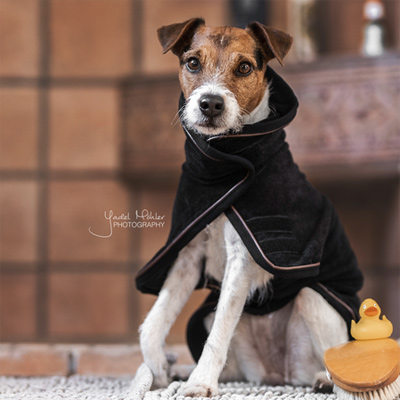 Preview: Kentucky Dogwear Dog Coat Towel