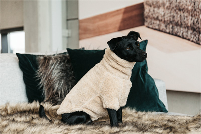 Vorschau: Kentucky Hunde Pullover Teddy Fleece