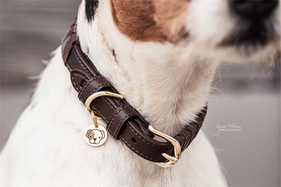 Preview: Kentucky Dog Collar Triangle