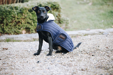 Preview: Kentucky Dogwear Dog Coat Pearls