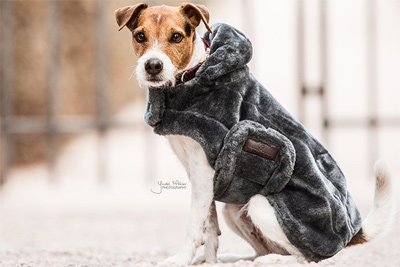 Vorschau: Kentucky Dogwear Hundemantel Fake Fur